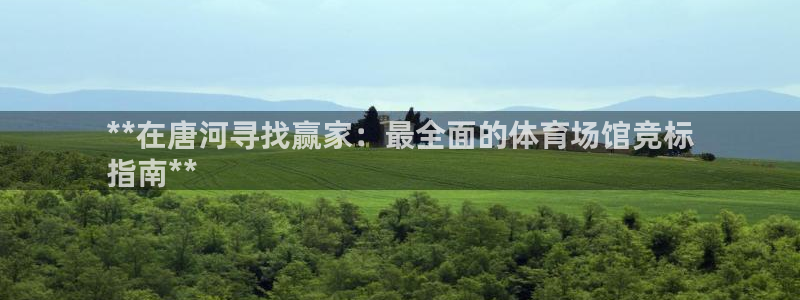 尊龙中国：**在唐河寻找赢家：最全面的体育场馆竞标
指南**
