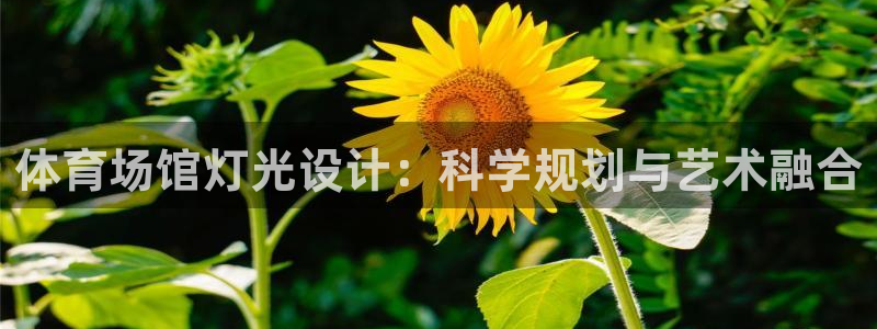 尊龙新版app首页