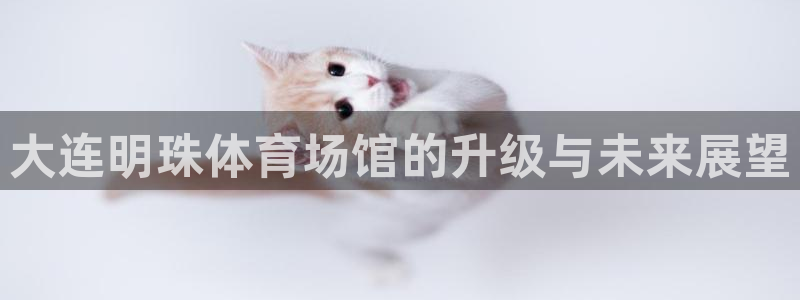 尊龙传奇英文怎么写