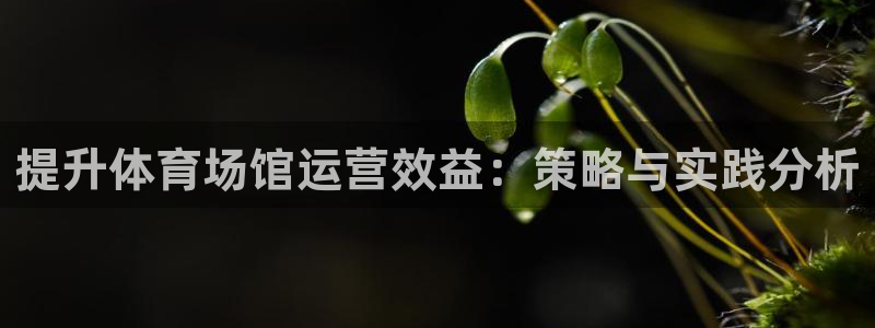 z6尊龙官网平台下载