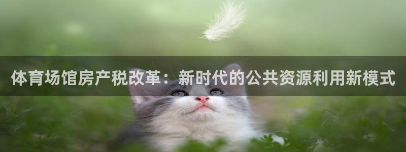 尊龙app最新版本官网