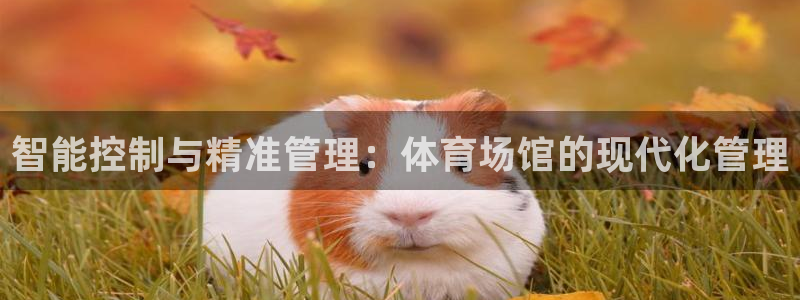 尊龙凯时台子