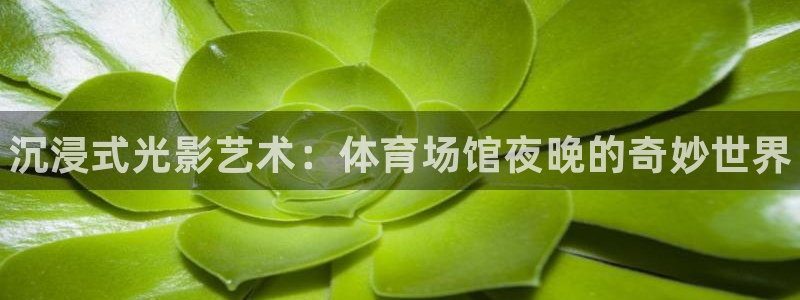 尊龙凯时的企业文化