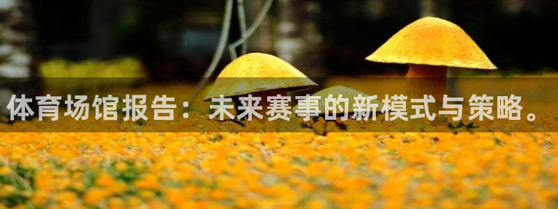 凯时APP官网首页