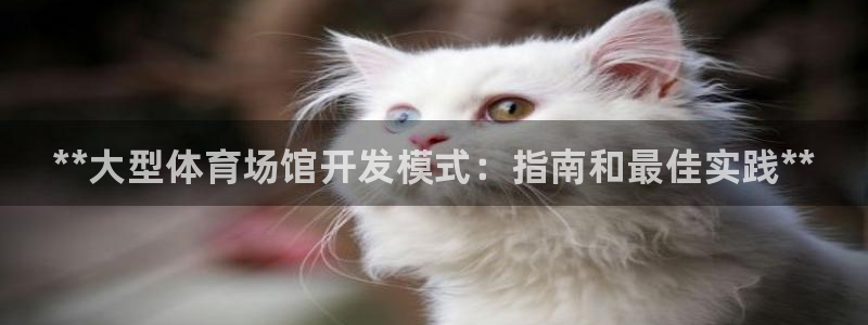 d88尊龙可靠送38元：**大型体育场馆开发模式：指南和最佳