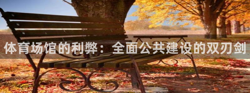 尊龙体育电竞官网：体育场馆的利弊：全面公共建设的双刃剑