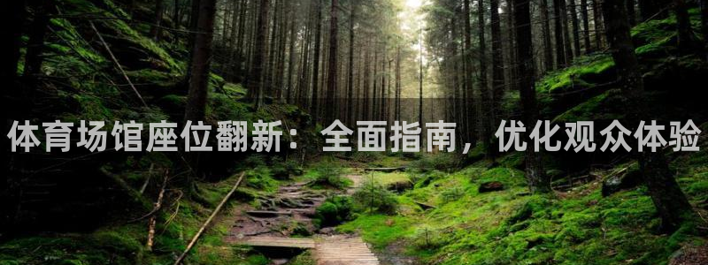 尊龙网址是多少：体育场馆座位翻新：全面指南，优化观众体验