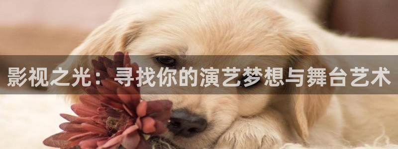 悟空视频：影视之光：寻找你的演艺梦想与舞台艺术