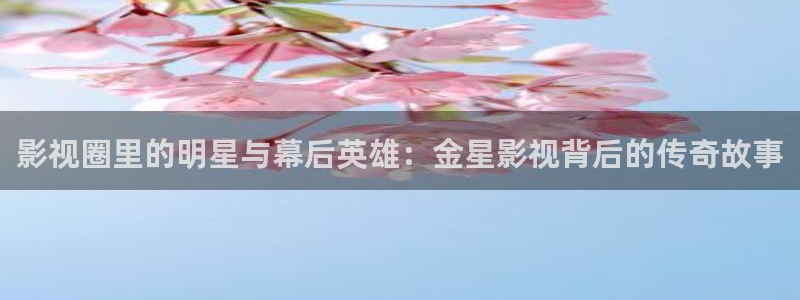 悟空 在线播放：影视圈里的明星与幕后英雄：金星影视背后的传奇故事
