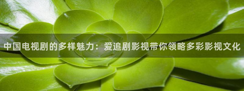 孙悟空的小视频大全：中国电视剧的多样魅力：爱追剧影视带你领略多彩影视文化