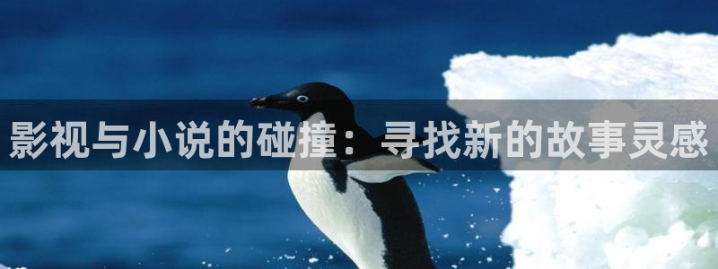 悟空影视在线播放：影视与小说的碰撞：寻找新的故事灵感