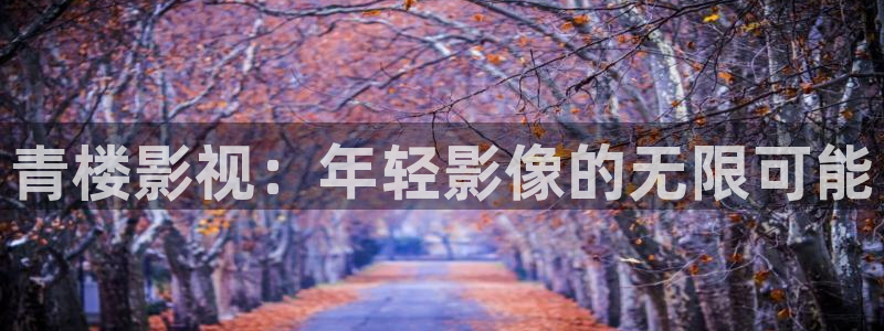 悟空影视大全新版：青楼影视：年轻影像的无限可能
