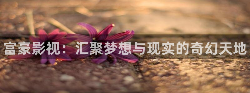 悟空视频免费网站：富豪影视：汇聚梦想与现实的奇幻天地